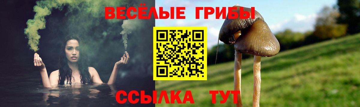 Псилоцибиновые грибы Magic Shrooms Нерюнгри